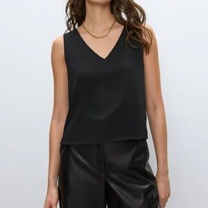 Aritizia Babaton - Murphy Sleeveless Cropped Crepe Blouse